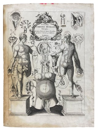A Survey of the Microcosme: or, The Anatomy of the Bodies of Man and Woman. Wherein The skin, veins, arteries, nerves, muscles, viscera, bones, and ligaments thereof are accurately Delineated, and so disposed by Pasting, as that all the Parts of the said Bodies, both Internal and External, are exactly represented in their proper site. Useful for all physicians, chyrurgeons, statuaries, painters, &c. By Michael Spaher of Tyrol, and Remilinus. Corrected by Clopton Havers, M. D. and Fellow of the Royal Society.