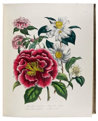 Item #40802 Complete Series of The Ladies' Flower-Garden and British Wild Flowers. Jane Wells...