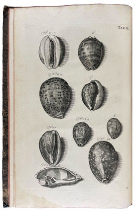 Musei Gottwaldiani Testaceorum, Stellarum Marinarum et Coralliorum quae Supersunt Tablulae. Die Conchylien, Seesterne und Meergewächseder der Ehemalingen Gottwaldtischen Naturaliensammlung