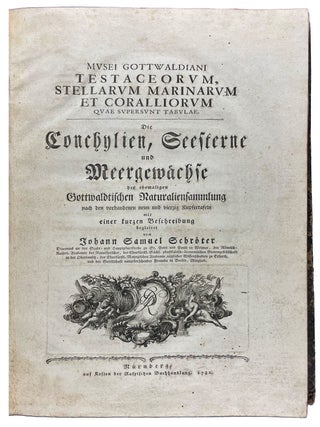 Musei Gottwaldiani Testaceorum, Stellarum Marinarum et Coralliorum quae Supersunt Tablulae. Die Conchylien, Seesterne und Meergew&auml;chseder der Ehemalingen Gottwaldtischen Naturaliensammlung