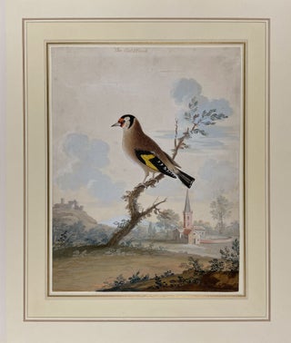 The Goldfinch [and] The American Goldfinch from New York... [Pair of ornithological watercolours, depicting two different goldfinches]