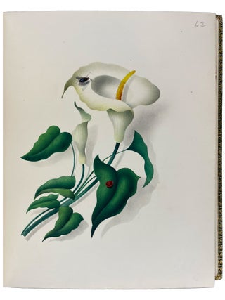 Hints on the Art of Oriental Painting