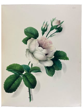 Hints on the Art of Oriental Painting