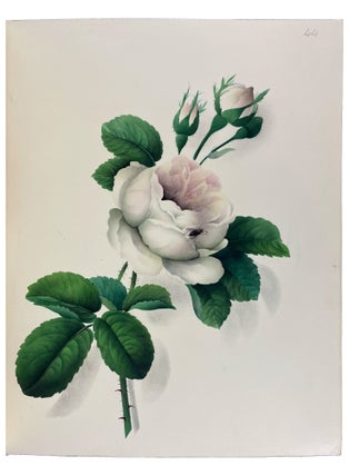 Hints on the Art of Oriental Painting