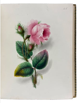 Hints on the Art of Oriental Painting