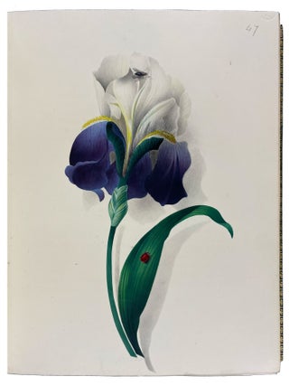 Hints on the Art of Oriental Painting