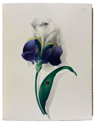 Hints on the Art of Oriental Painting