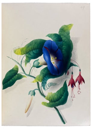 Hints on the Art of Oriental Painting