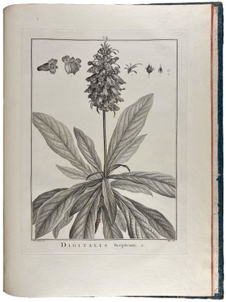 Item #40825 Sertum anglicum, seu plantae rariores quae in hortis juxta Londinum. After...