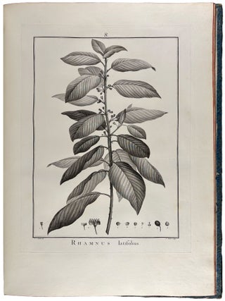 Sertum anglicum, seu plantae rariores quae in hortis juxta Londinum