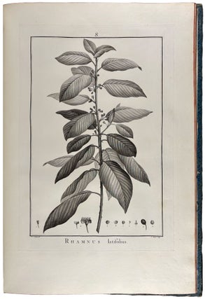 Sertum anglicum, seu plantae rariores quae in hortis juxta Londinum