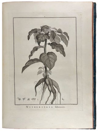 Sertum anglicum, seu plantae rariores quae in hortis juxta Londinum