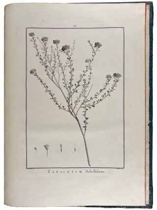 Sertum anglicum, seu plantae rariores quae in hortis juxta Londinum