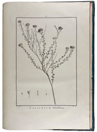Sertum anglicum, seu plantae rariores quae in hortis juxta Londinum