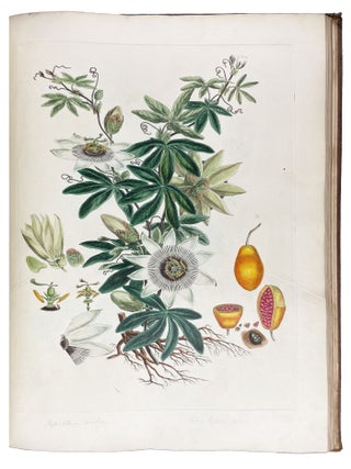 Illustratio Systematis Sexualis Linn&aelig;i. An Illustration of the Sexual System of Linnaeus