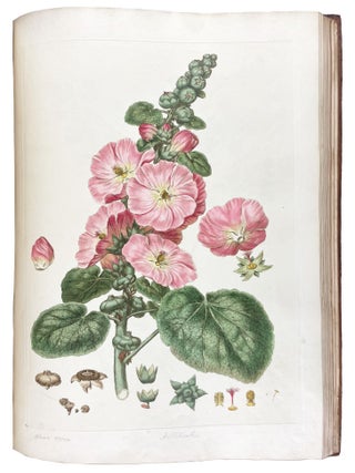Illustratio Systematis Sexualis Linn&aelig;i. An Illustration of the Sexual System of Linnaeus