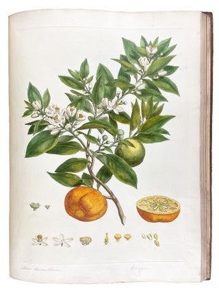 Illustratio Systematis Sexualis Linn&aelig;i. An Illustration of the Sexual System of Linnaeus