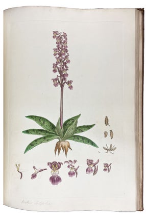 Illustratio Systematis Sexualis Linnæi. An Illustration of the Sexual System of Linnaeus