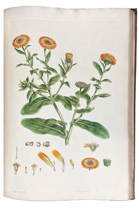 Illustratio Systematis Sexualis Linnæi. An Illustration of the Sexual System of Linnaeus