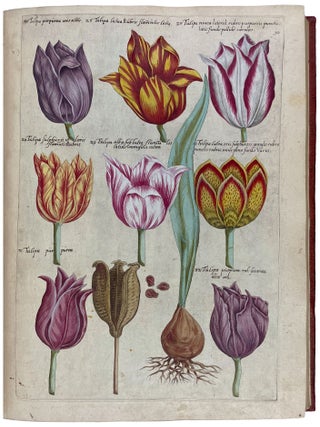 Florilegium tractans de variis floribus et aliis indicis plantis ad vivum delineatum in duabus partibus et quatuor linguis concinnatum