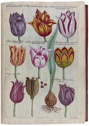 Florilegium tractans de variis floribus et aliis indicis plantis ad vivum delineatum in duabus partibus et quatuor linguis concinnatum