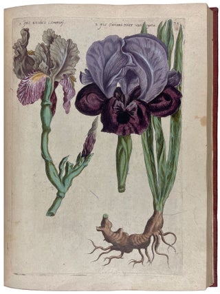 Florilegium tractans de variis floribus et aliis indicis plantis ad vivum delineatum in duabus partibus et quatuor linguis concinnatum