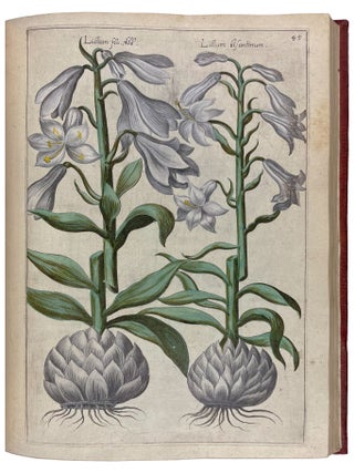 Florilegium tractans de variis floribus et aliis indicis plantis ad vivum delineatum in duabus partibus et quatuor linguis concinnatum