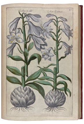 Florilegium tractans de variis floribus et aliis indicis plantis ad vivum delineatum in duabus partibus et quatuor linguis concinnatum