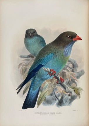 A Monograph of the Coraciidae, or the Family of the Rollers