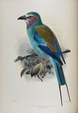 A Monograph of the Coraciidae, or the Family of the Rollers