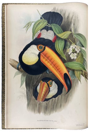 Item #40873 A Monograph of the Ramphastidae, or Family of Toucans. John GOULD