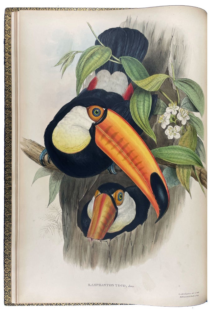 Item #40873 A Monograph of the Ramphastidae, or Family of Toucans. John GOULD.