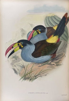 A Monograph of the Ramphastidae, or Family of Toucans