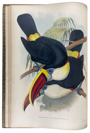 A Monograph of the Ramphastidae, or Family of Toucans