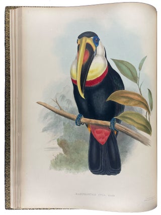 A Monograph of the Ramphastidae, or Family of Toucans
