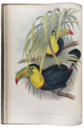 A Monograph of the Ramphastidae, or Family of Toucans