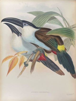 A Monograph of the Ramphastidae, or Family of Toucans