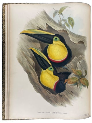 A Monograph of the Ramphastidae, or Family of Toucans
