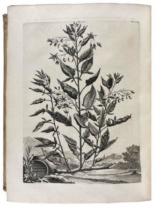 Naauwkeurige Beschryving der Aardgewassen, waar in de veelerley Aart en byzondere Eigenschappen der Boomen, Heesters, Kruyden, Bloemen...beschreeven worden