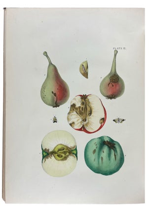 Item #41145 A Treatise on the Insect Enemies of Fruit and Flowers. ISAAC P. TRIMBLE