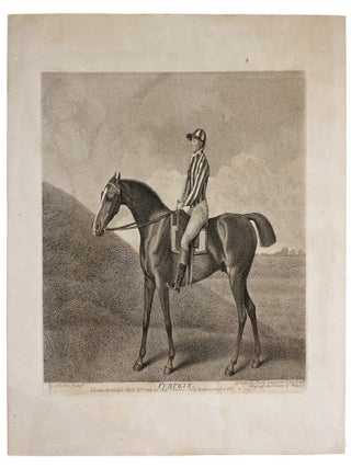 Item #4133 Pumpkin. George STUBBS, George Townly STUBBS