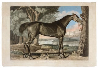 Item #4138 Pangloss belonging to Lord Grosvernor. George STUBBS, ANONYMOUS