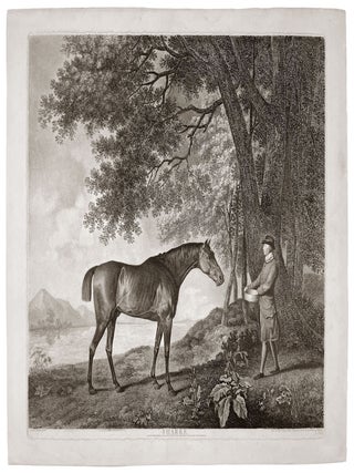 Item #4141 Sharke. George STUBBS, George Townly STUBBS