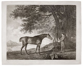 Item #4141 Sharke. George STUBBS, George Townly STUBBS
