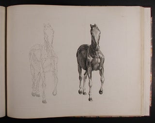 The Anatomy of the Horse: Including a Particular Description of the Bones, Cartilages, Muscles, Fascias. Ligaments, Nerves, Arteries, Veins, and Glands