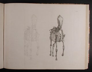 The Anatomy of the Horse: Including a Particular Description of the Bones, Cartilages, Muscles, Fascias. Ligaments, Nerves, Arteries, Veins, and Glands