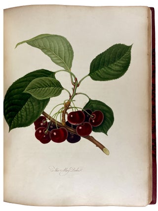 Pomona Londinensis: Containing Coloured Engravings of the Most Esteemed Fruits Cultivated in the British Gardens, with a Descriptive Account of Each Variety