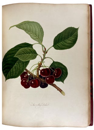 Pomona Londinensis: Containing Coloured Engravings of the Most Esteemed Fruits Cultivated in the British Gardens, with a Descriptive Account of Each Variety