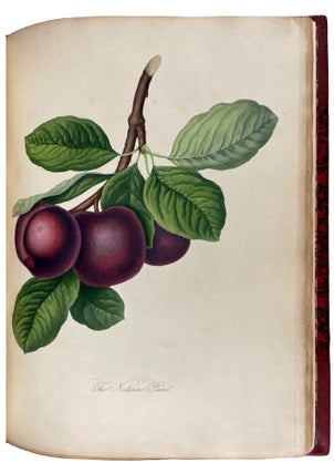 Pomona Londinensis: Containing Coloured Engravings of the Most Esteemed Fruits Cultivated in the British Gardens, with a Descriptive Account of Each Variety
