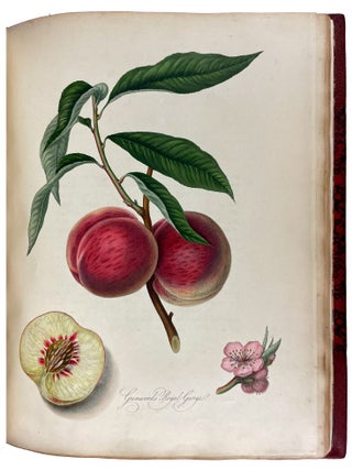 Pomona Londinensis: Containing Coloured Engravings of the Most Esteemed Fruits Cultivated in the British Gardens, with a Descriptive Account of Each Variety